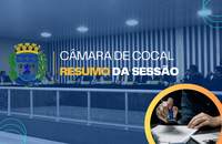 Resumo da sessão - modelo