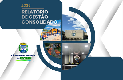 Vereadora Simone disponibiliza à sociedade relatório de sua gestão no ano de 2025